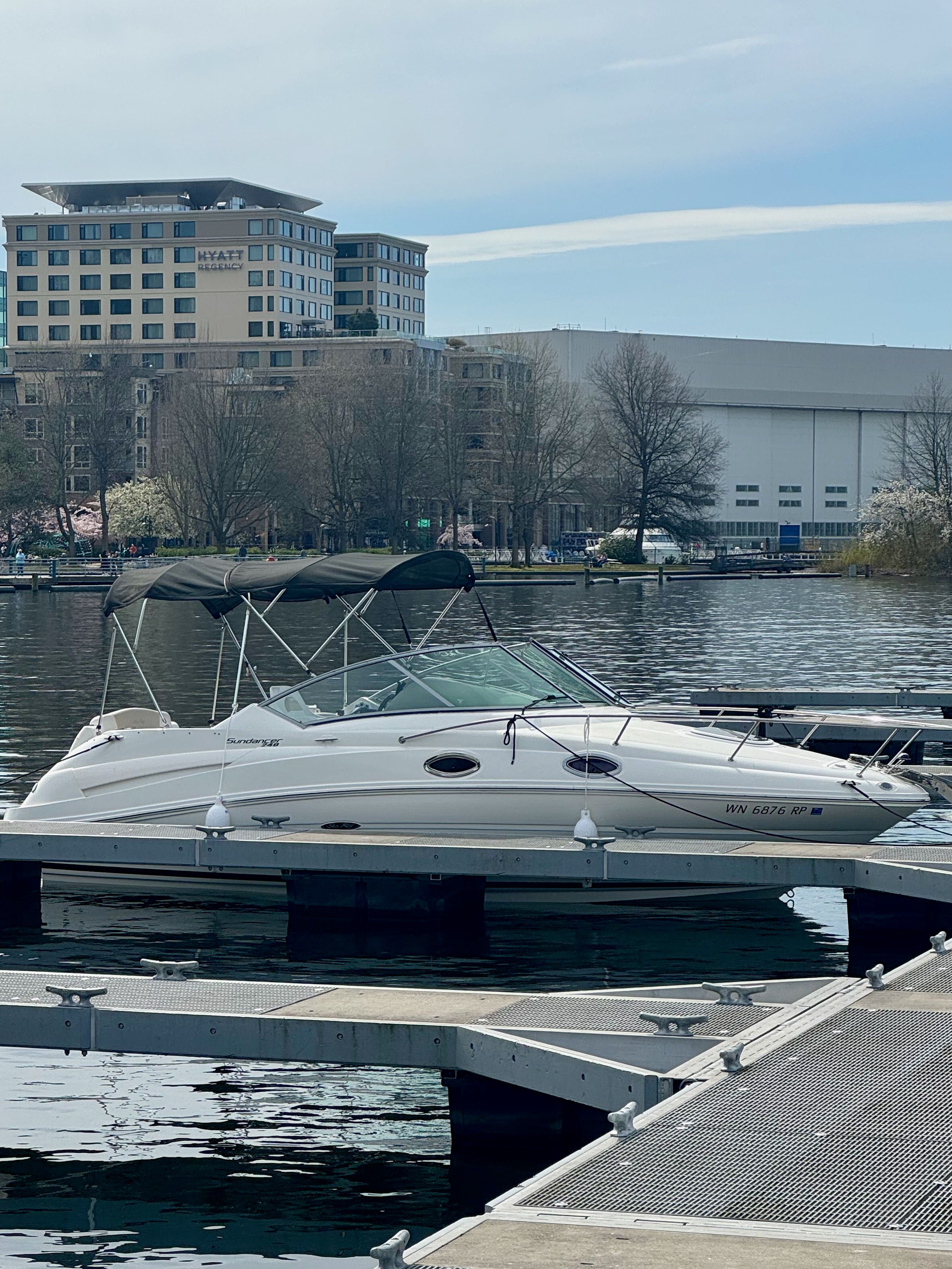 Sea Ray 240 Sundancer owner photo