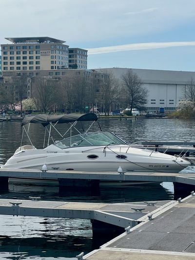 Sea Ray 240 Sundancer photo by jclima